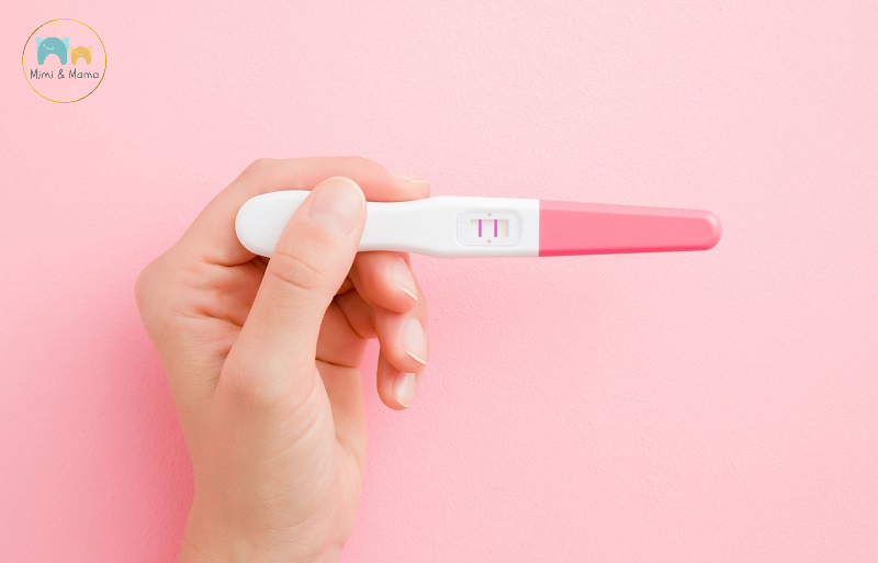 Que thử thai công cụ nhanh chóng, tiện lợi và kết quả chính xác nhất