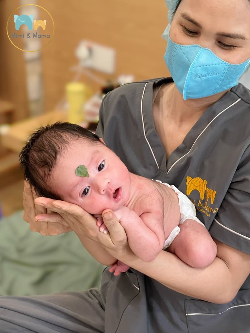 Quy trình đặt lịch chăm sóc sau sinh phường Tân Sơn Nhất tại Mimimama Care