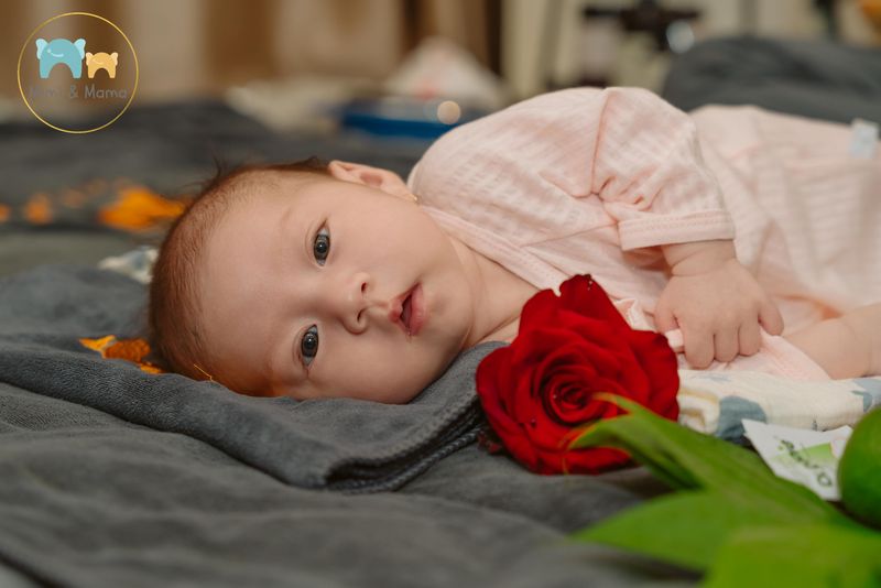 Dịch vụ tắm bé sơ sinh tại nhà của Mimimama Care bao gồm những gì?